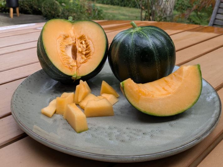 Afbeelding oogstperiode MELOEN, Pajottenlandse